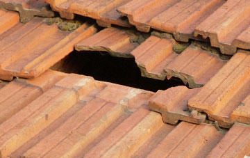 roof repair Littleham, Devon